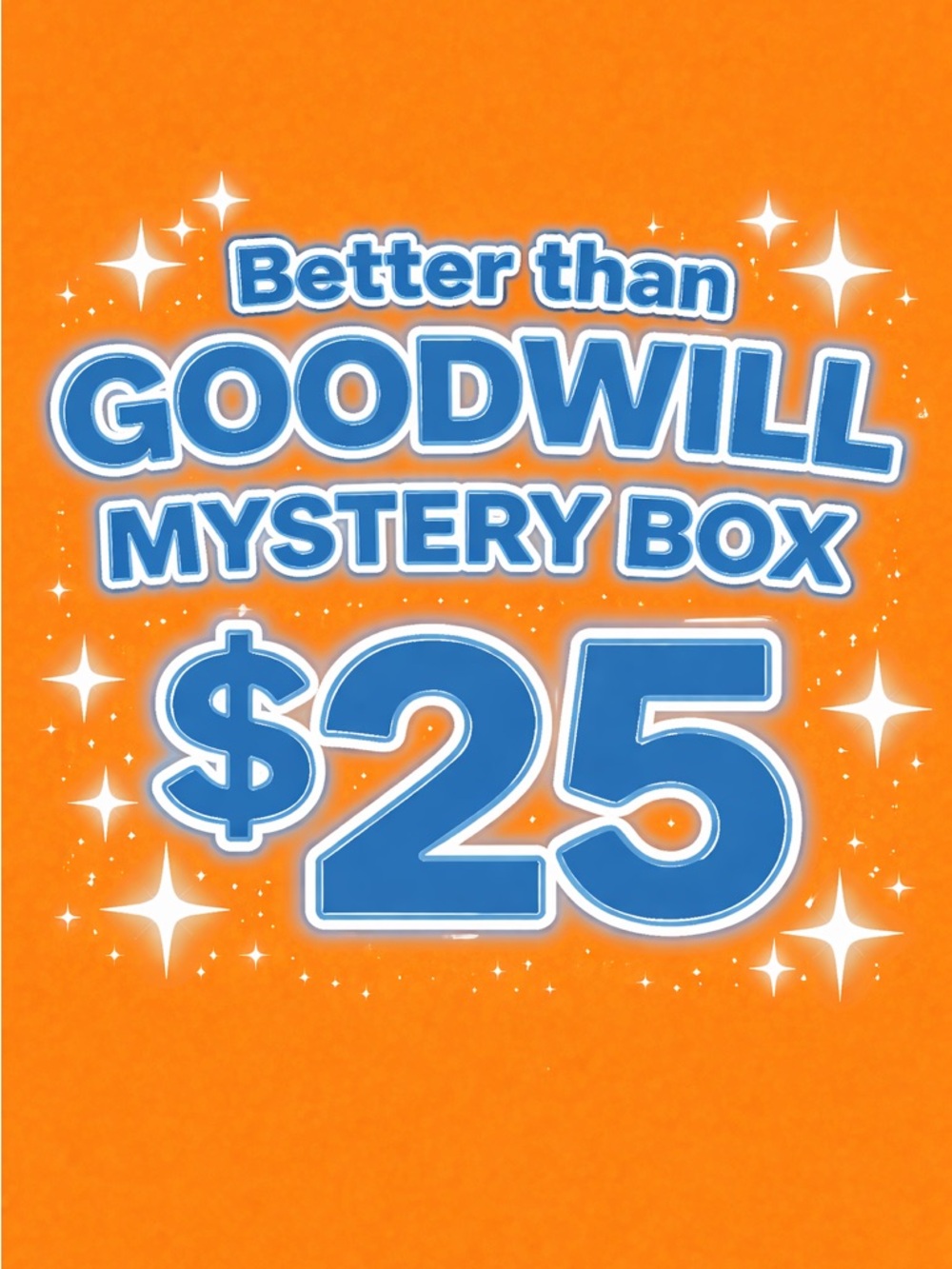 Better Than Goodwill Mystery Box $25